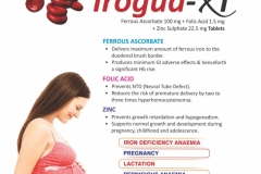IROGUD XT
