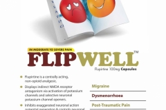 VISUAL AID PDF-page-010