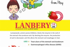 VISUAL AID PDF-page-016