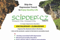 VISUAL AID PDF-page-039