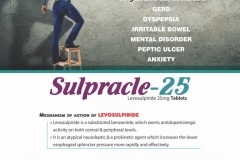 VISUAL AID PDF-page-042